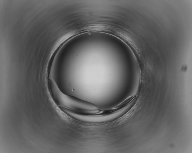 X0000095551426200712141545