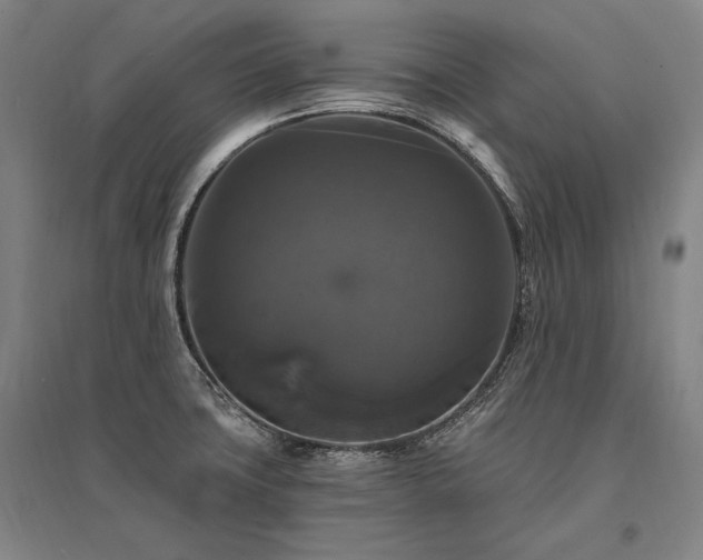 X0000095551427200712141545