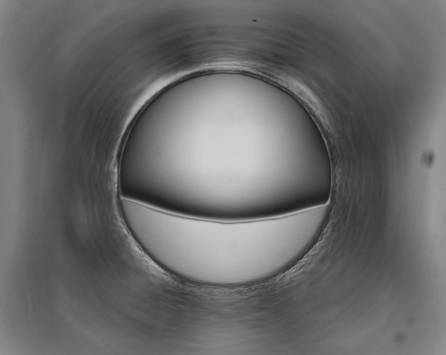X0000095551428200712141545