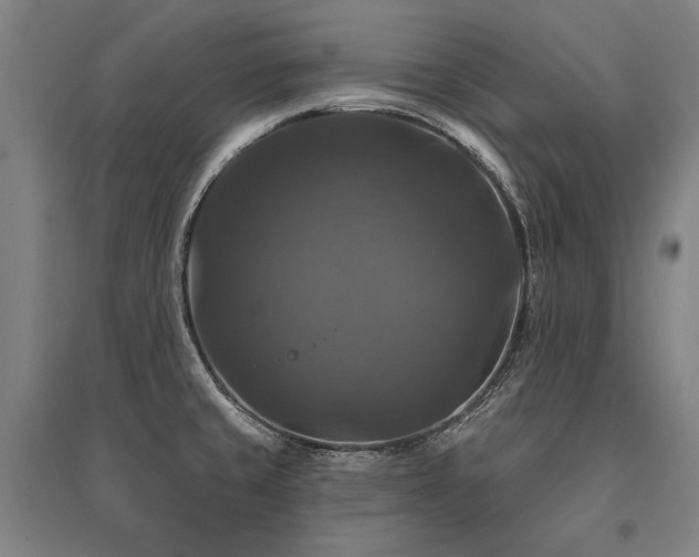 X0000095551429200712141545