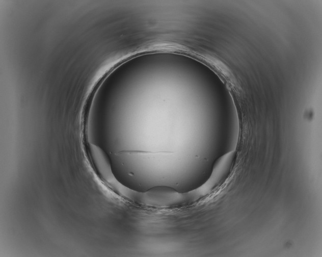 X0000095551430200712141545