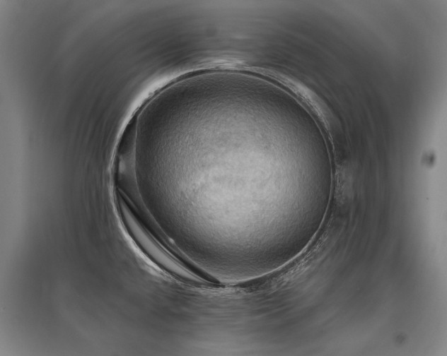 X0000095551432200712141545