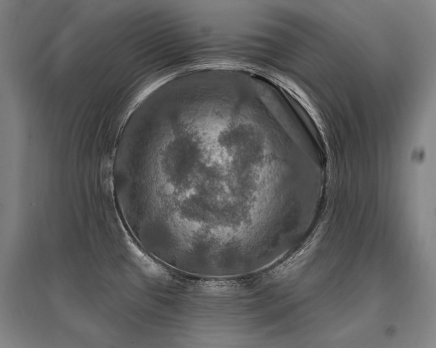 X0000095551433200712141545