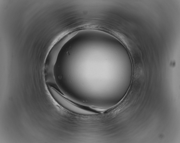X0000095551434200712141545