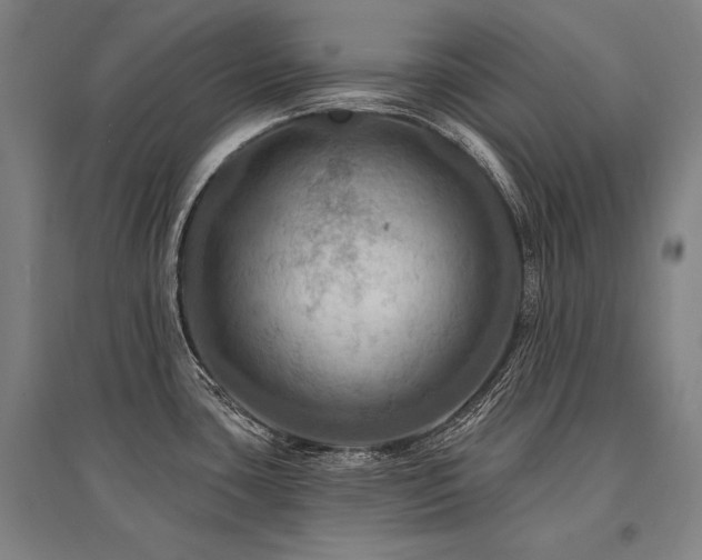 X0000095551435200712141545