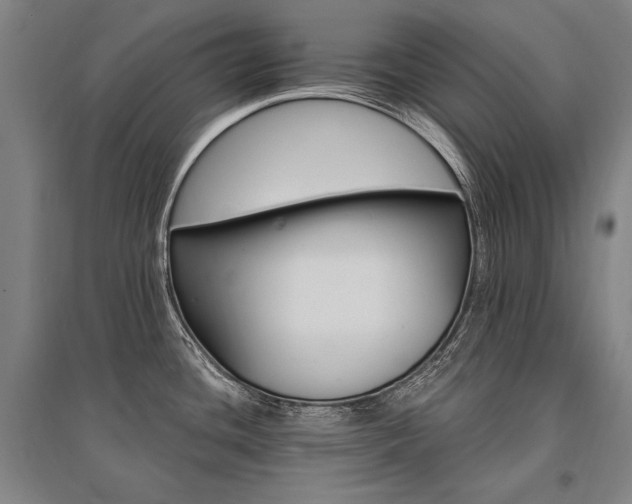 X0000095551436200712141545