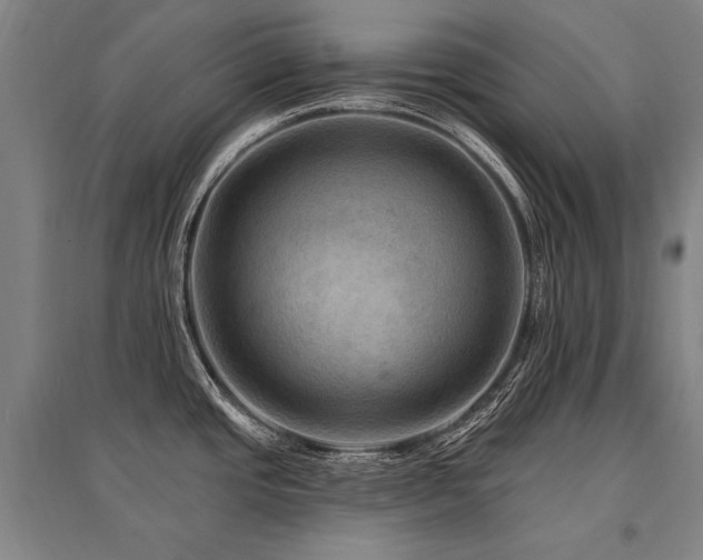 X0000095551437200712141545