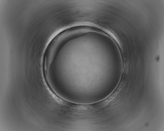 X0000095551438200712141545
