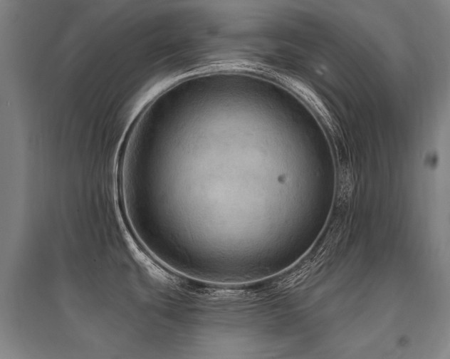 X0000095551439200712141545