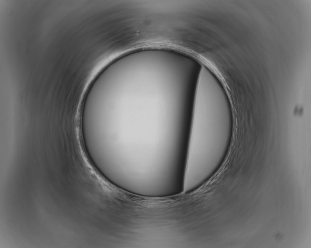 X0000095551440200712141545