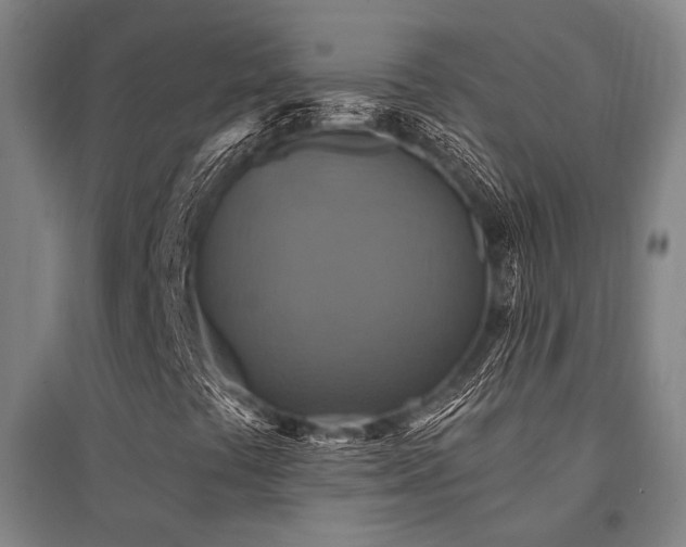 X0000095551441200712141544