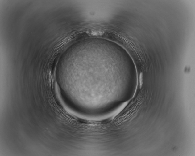 X0000095551443200712141544