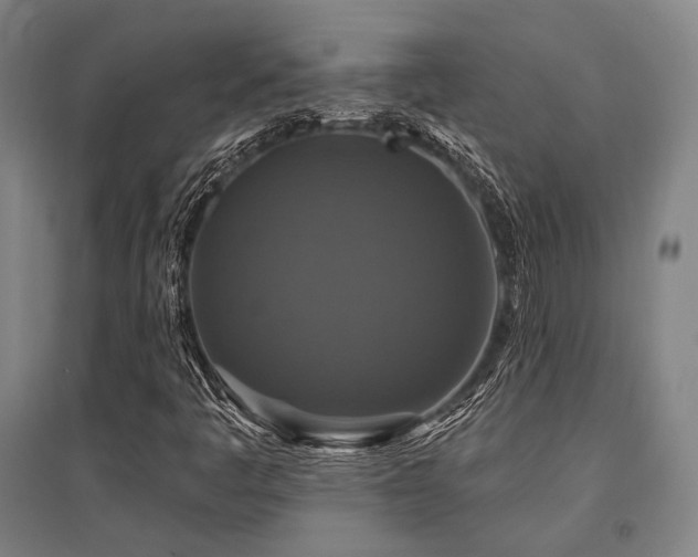 X0000095551445200712141544