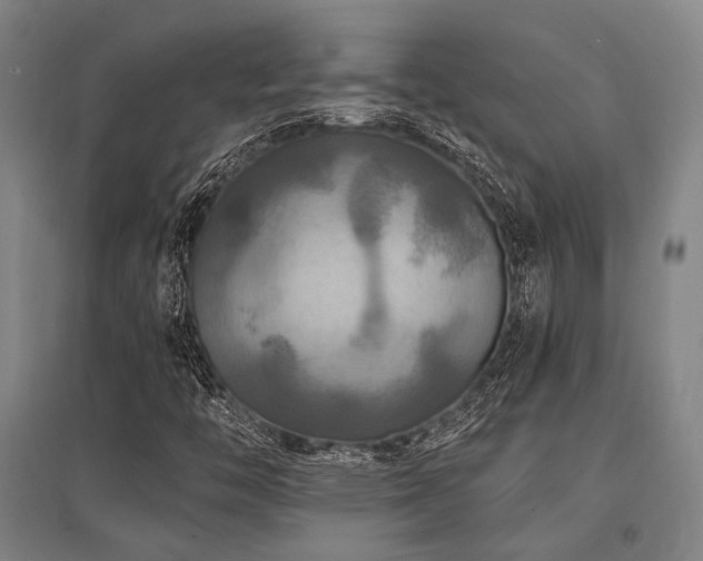 X0000095551446200712141544