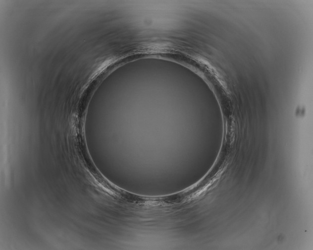 X0000095551449200712141544