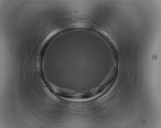 X0000095551450200712141544