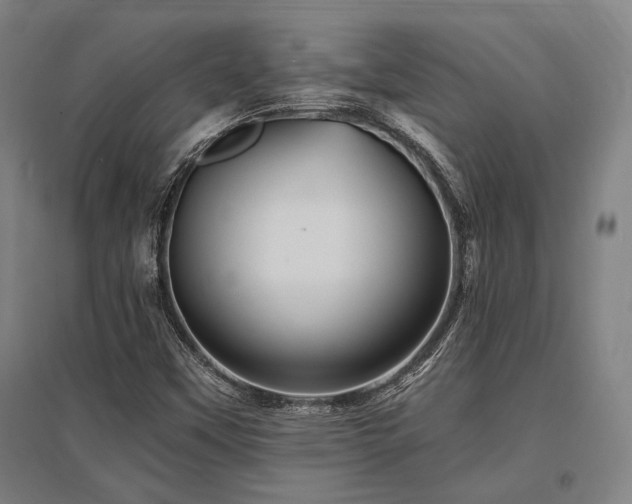 X0000095551451200712141544