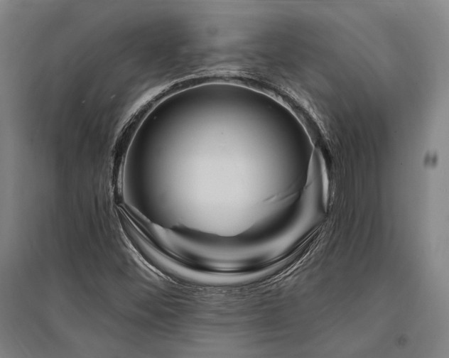 X0000095551452200712141544