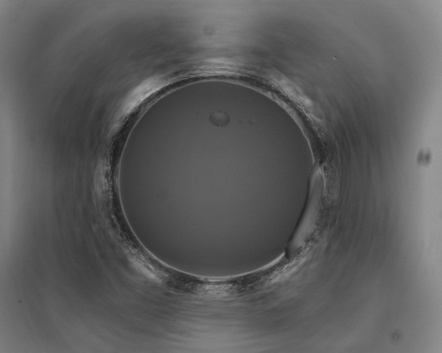 X0000095551453200712141544