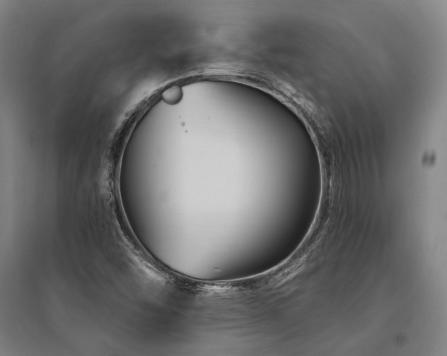 X0000095551454200712141544
