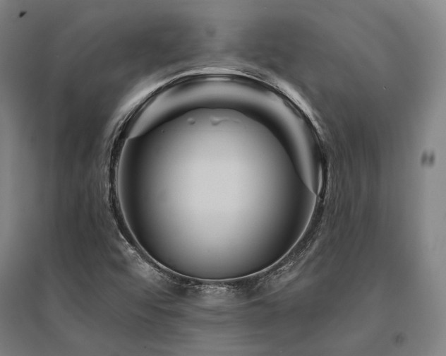 X0000095551456200712141544
