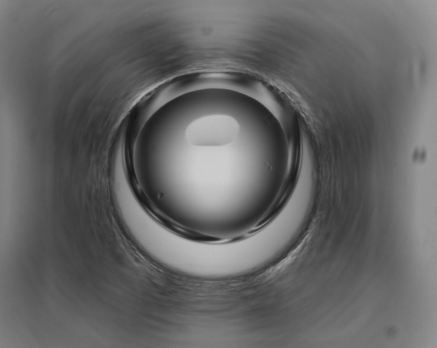 X0000095551457200712141544