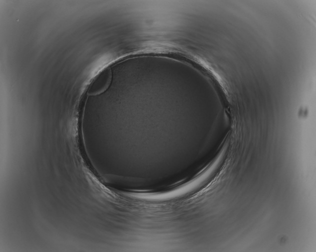 X0000095551459200712141544