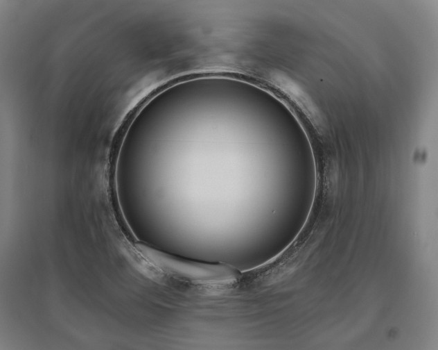 X0000095551460200712141544