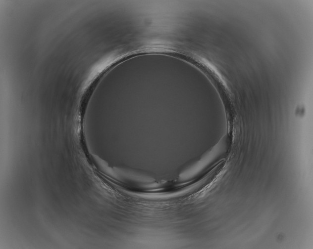 X0000095551461200712141544