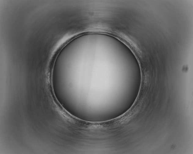 X0000095551462200712141544