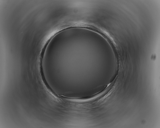 X0000095551463200712141544