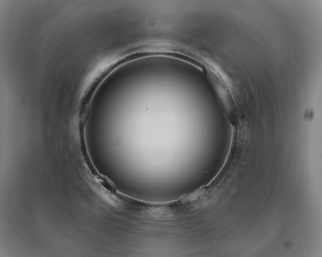 X0000095551464200712141544