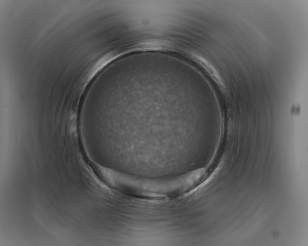 X0000095551465200712141544