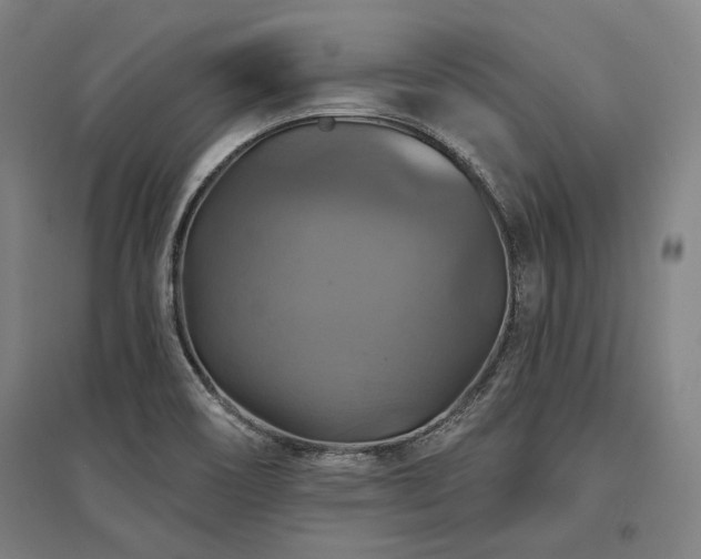 X0000095551466200712141544