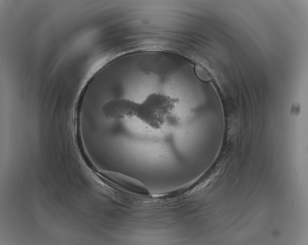 X0000095551467200712141544
