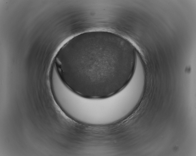 X0000095551468200712141544