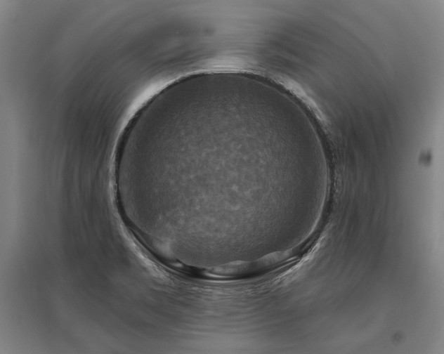 X0000095551469200712141544