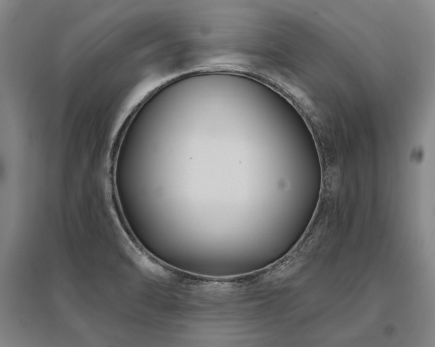 X0000095551470200712141544