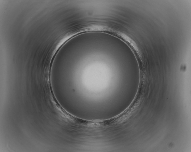 X0000095551473200712141544