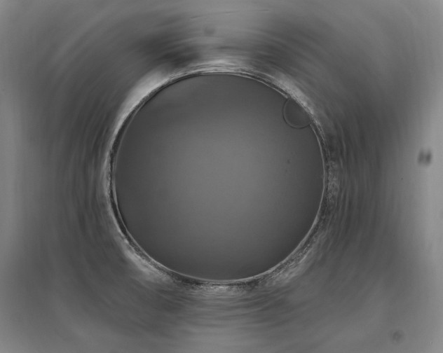 X0000095551474200712141544