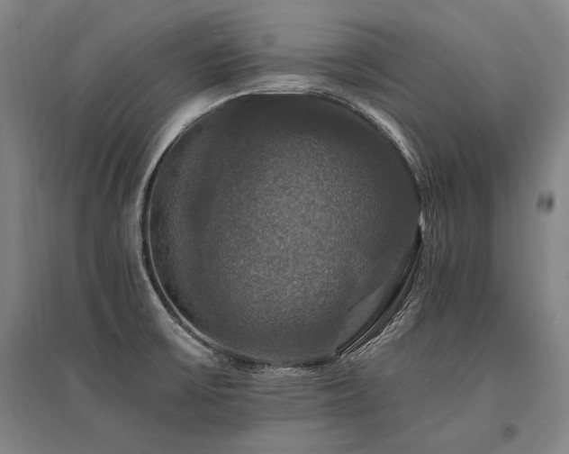 X0000095551475200712141544
