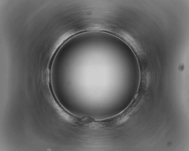 X0000095551476200712141544