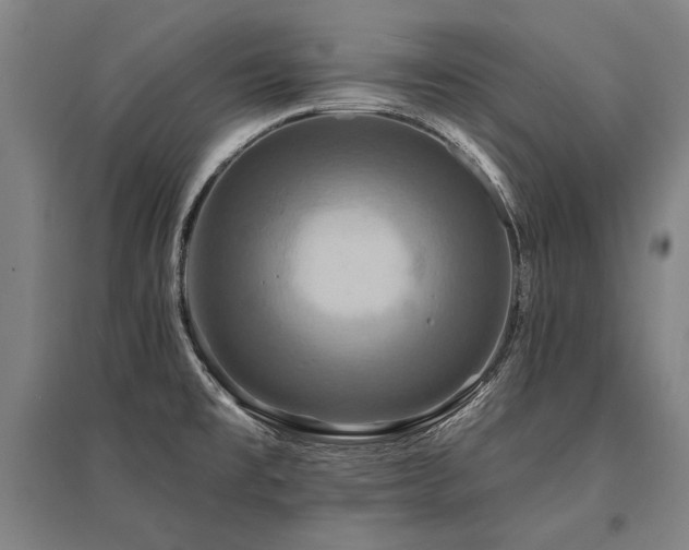 X0000095551477200712141544