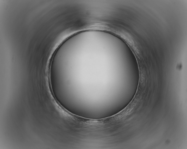 X0000095551478200712141544