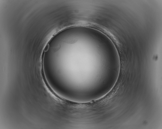 X0000095551479200712141544