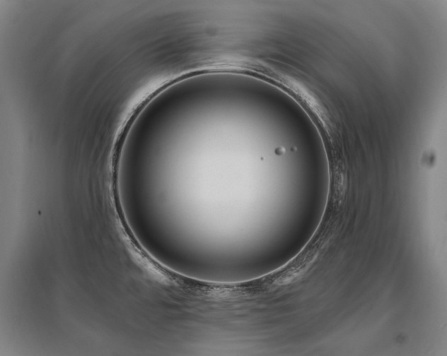 X0000095551480200712141544