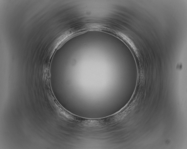 X0000095551481200712141544