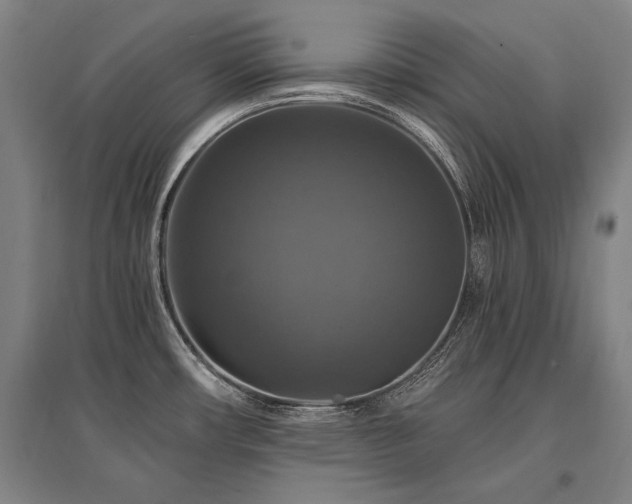 X0000095551482200712141544