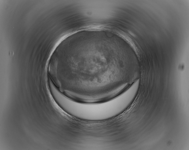 X0000095551483200712141544