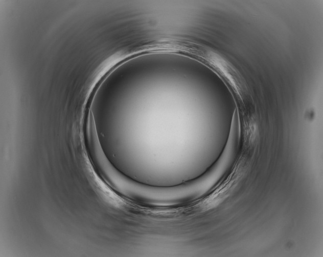 X0000095551484200712141544